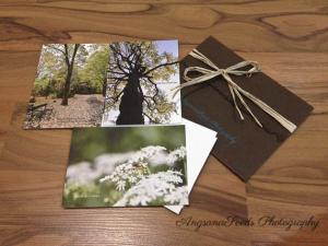 AngsanaSeeds Photography Celebrates Earth Day With Earth Friendly Collection Of Prints Notecards Part Of The Artisan Group Celebrity Gift Bag Honoring The Holiday